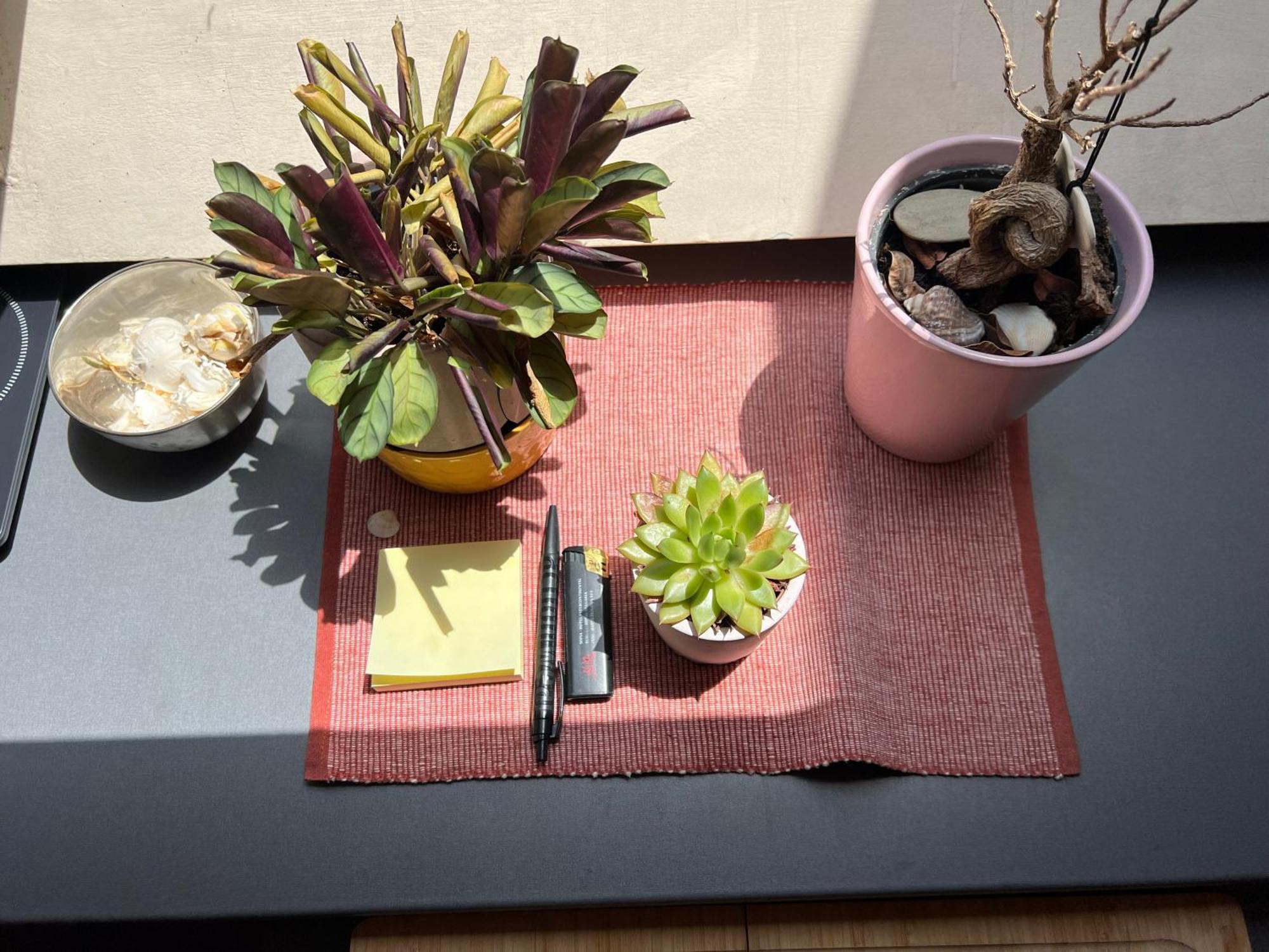 סופיה Cosy Rooftop In Center מראה חיצוני תמונה