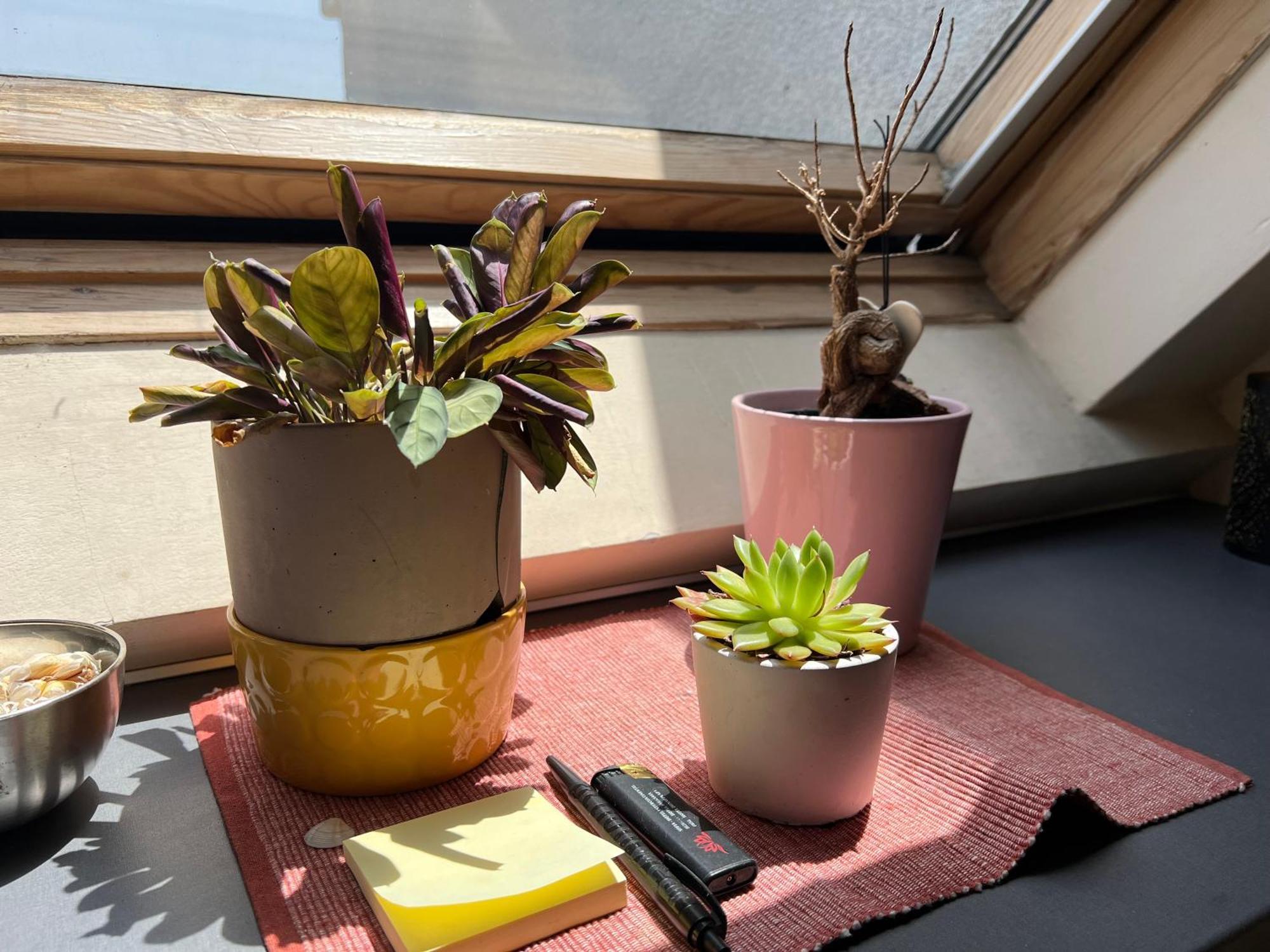 סופיה Cosy Rooftop In Center מראה חיצוני תמונה